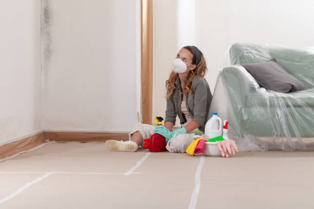 Reliable Commercial Mold Remediation contractor in River Forest, IL by WQB Mold Removal